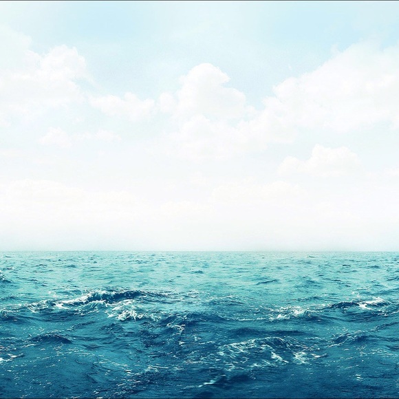 Meet your Posher, Alison - Picture 1 of 1